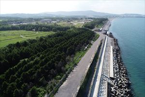 紋別海岸防風林をドローンで空撮