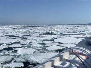 流氷を撮影