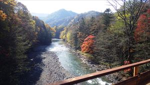 近別大橋からの紅葉と十勝川