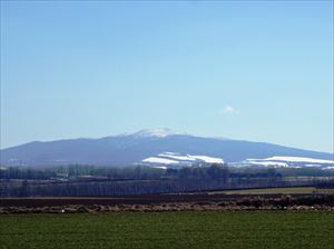 春の藻琴山