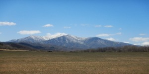 奥の日高山脈の山麓が八千代・上札内国有林