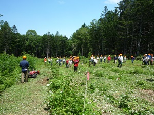 現地検討会の様子