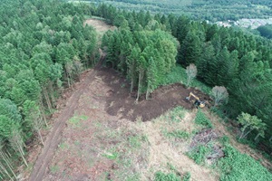 現地検討会の様子