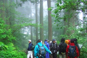 函館山登山コースで実習中
