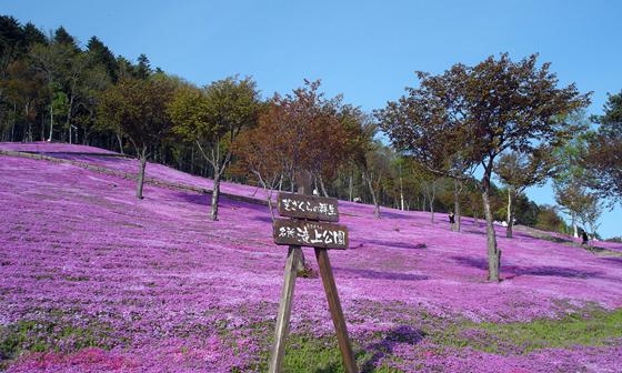 滝上公園