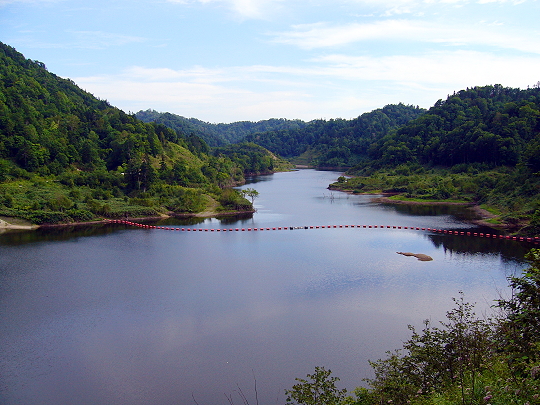 上小川（かみこがわ）ダムから古丹別の国有林を眺める