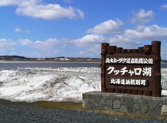 ラムサ－ル条約登録湿地に指定されたクッチャロ湖