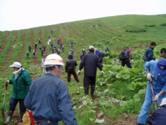 佐呂間植樹祭