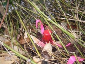 境界標の確認