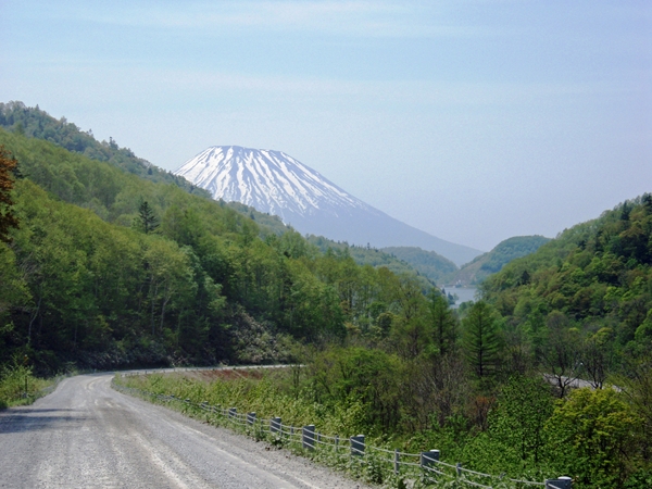 国有林から羊蹄山を望む