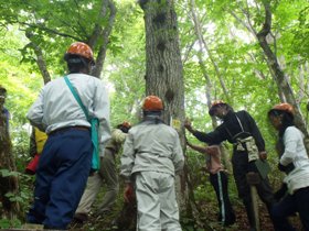 そうそう、このさわり心地、なんだっけ？