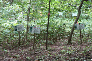 事前学習コースの看板