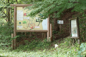 スタート地点の案内看板