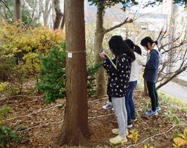 「この木はここだから、マップのこの辺だな」