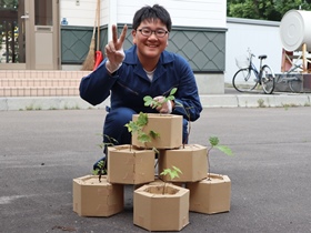 カミネッコンに苗木を植えました