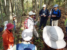 公園内でキノコ散策