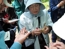 花の特徴を説明する木村さん