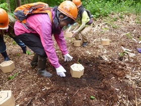 紙製ポットを土の上に置く様子