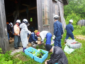 作業の再開