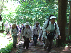 登山コースを歩く様子