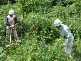 雑草と格闘中2