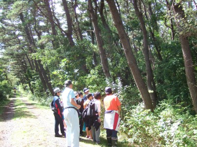 樹木博士認定会の様子