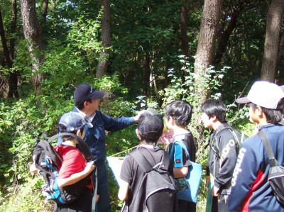 樹木の解説を行っている様子