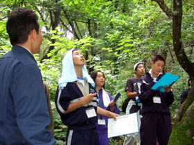 樹木博士に挑戦