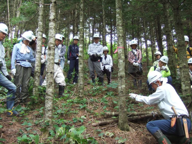 職員から作業手順を説明します