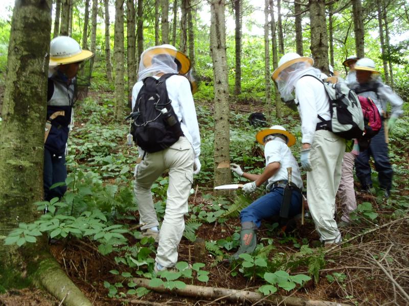 作業前の指導