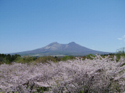 駒ヶ岳・大沼の写真令和3年5月撮影