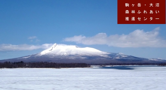 駒ヶ岳・大沼の写真平成29年3月撮影