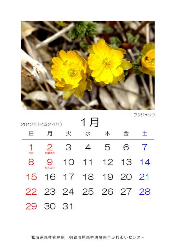 2012_hana_01