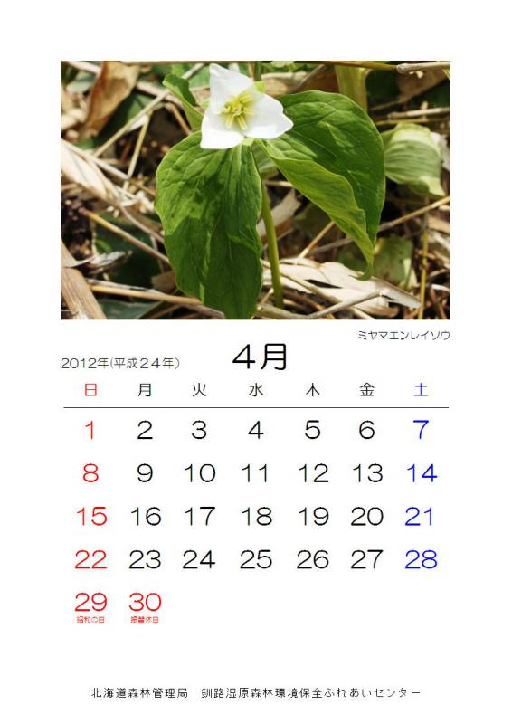 2012_hana_04