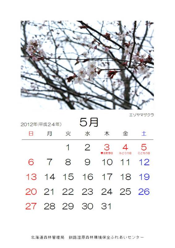2012_hana_05
