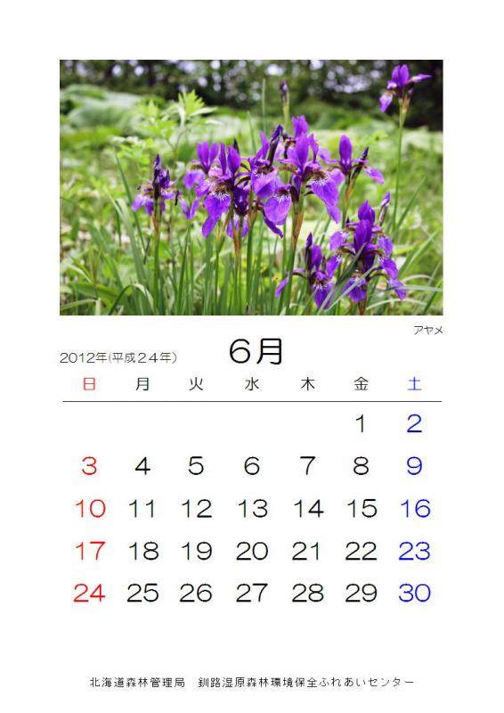 2012_hana_06