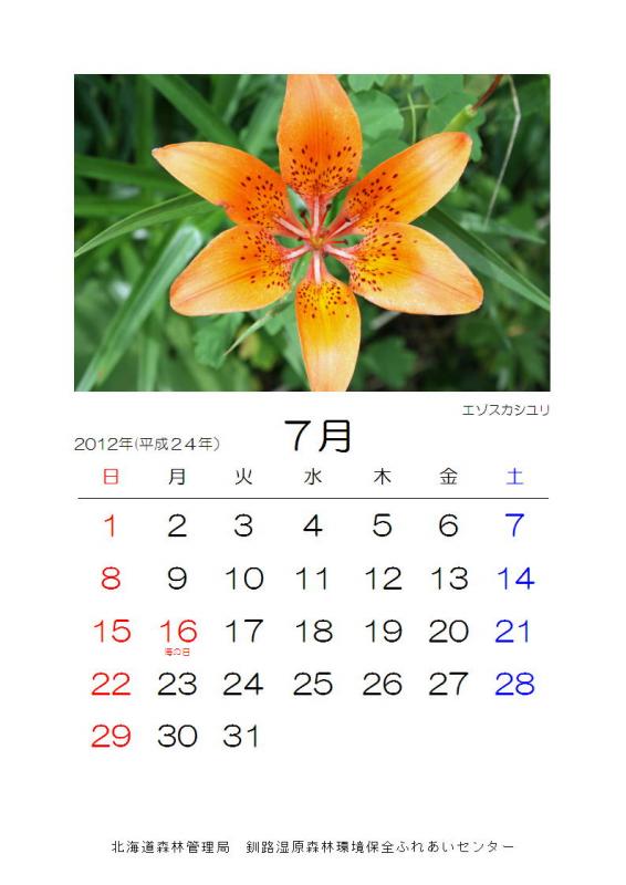 2012_hana_07