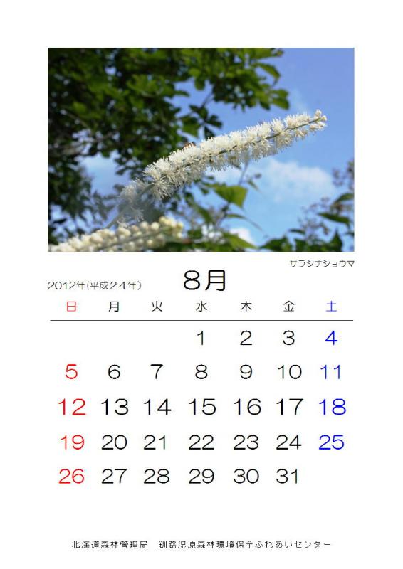 2012_hana_08
