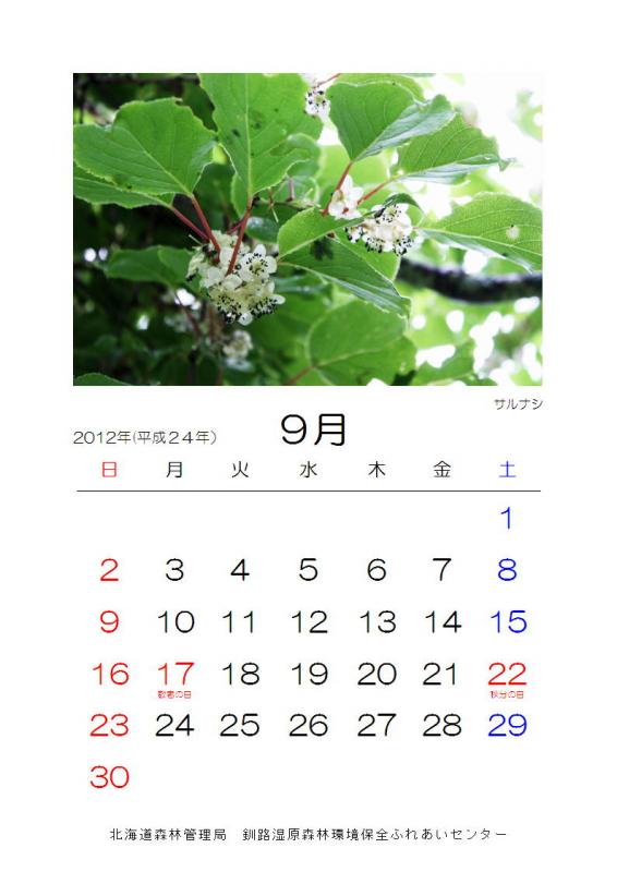 2012_hana_09