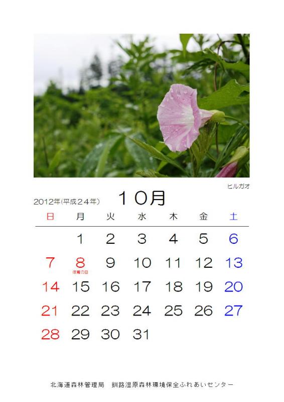 2012_hana_10