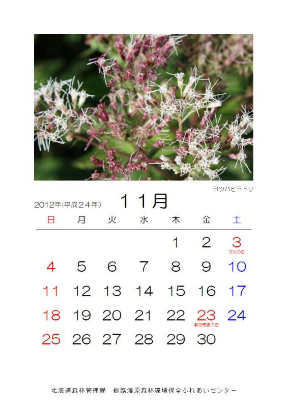 2012_hana_11