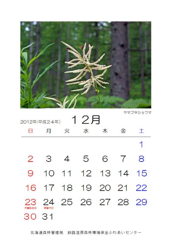 2012_hana_12