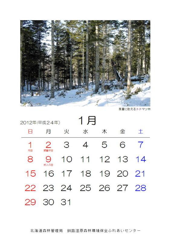 2012_sizen_01