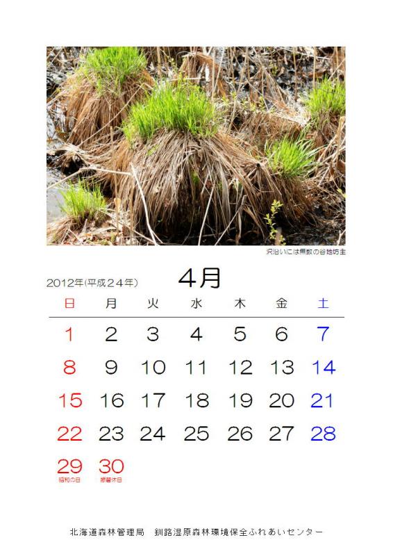 2012_sizen_04