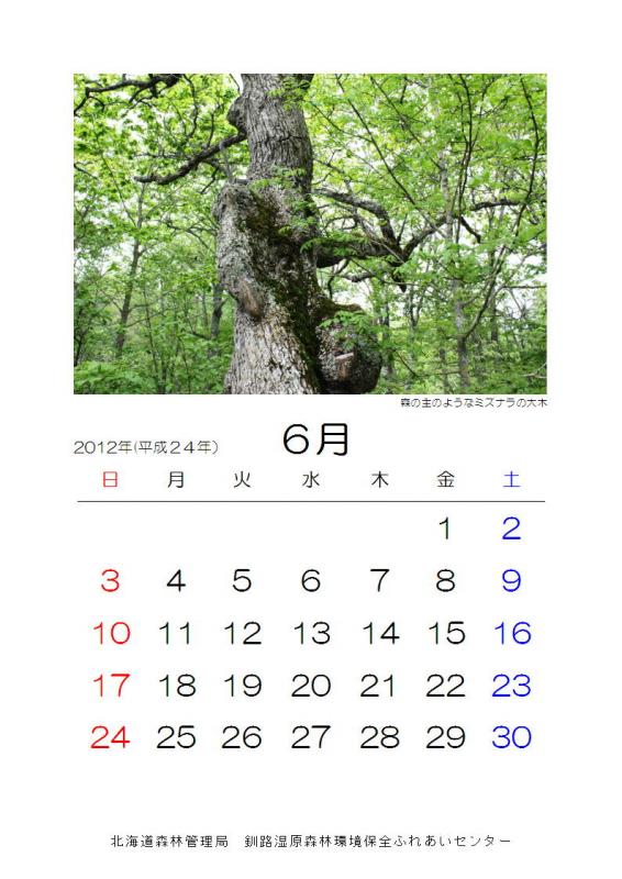 2012_sizen_06
