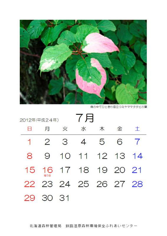 2012_sizen_07