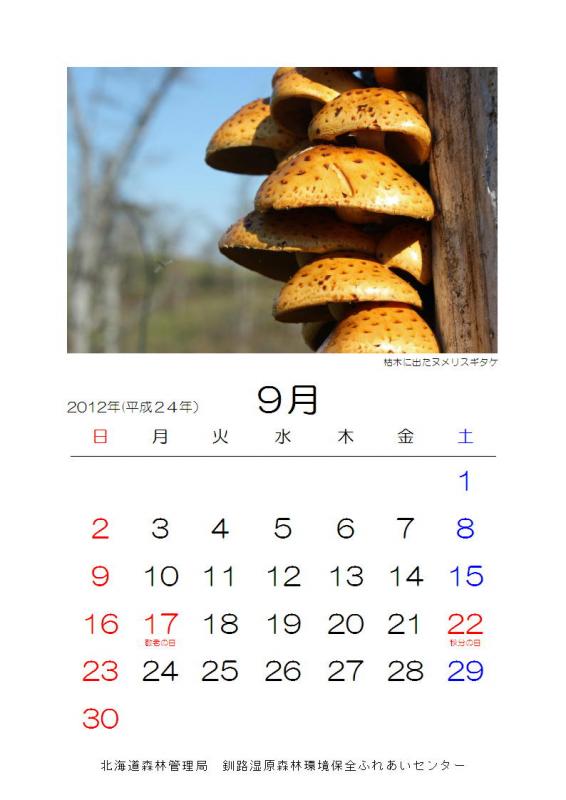 2012_sizen_09