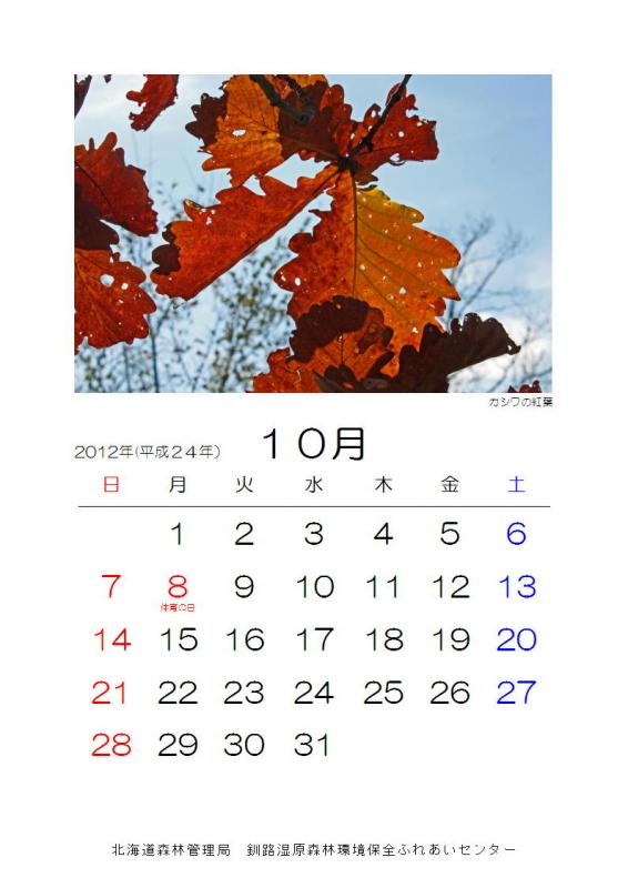 2012_sizen_10