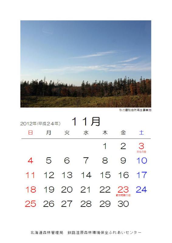 2012_sizen_11