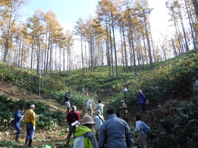 現地視察の様子